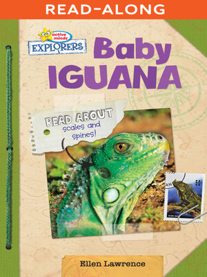 cover image of Baby Iguana